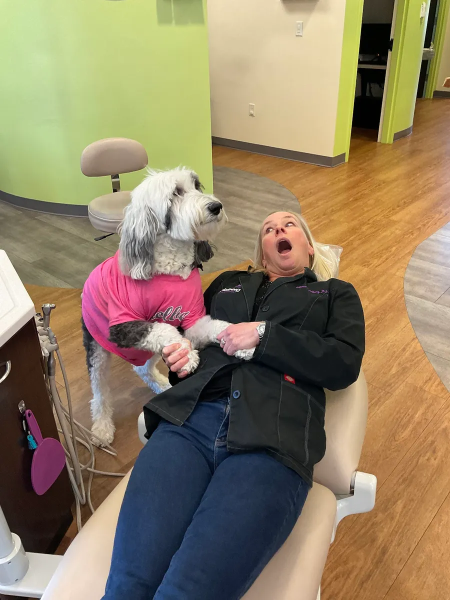 Spielberg Orthodontics | Braces and Invisalign Treatment in Apex - Photo 7