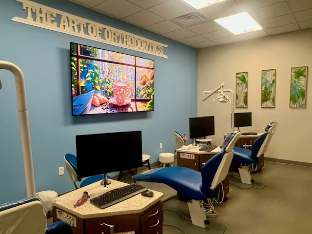 The Art of Orthodontics - Photo 4