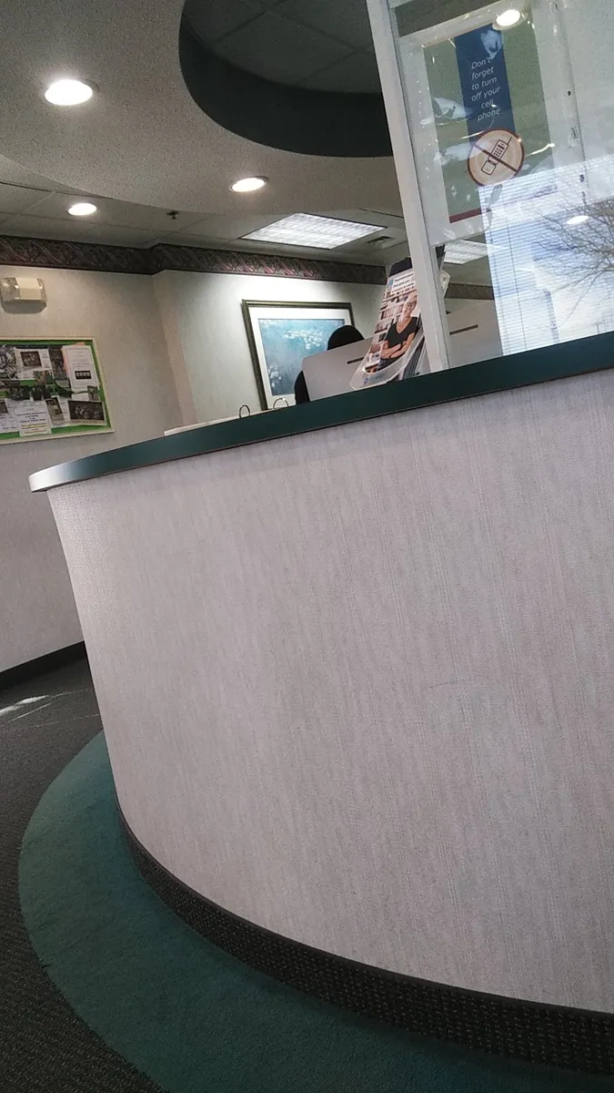 Treehouse Orthodontics