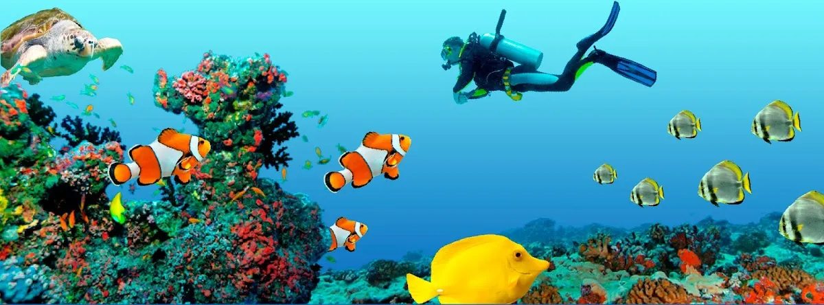 Ocean Dental - Orthodontist in Des Moines