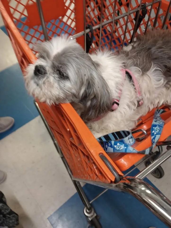 Moore and Moore Dental Associates