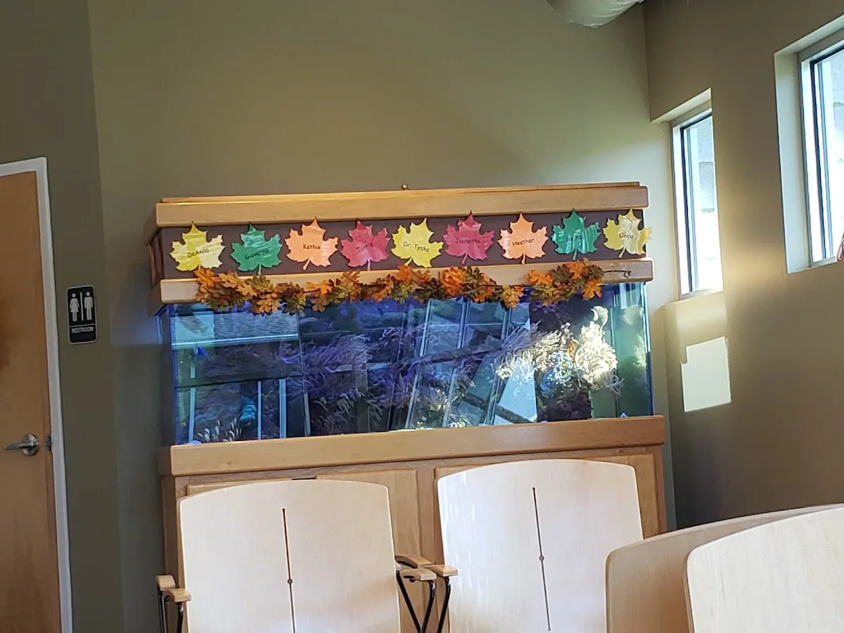 Tyska Alexander Orthodontics - Photo 2