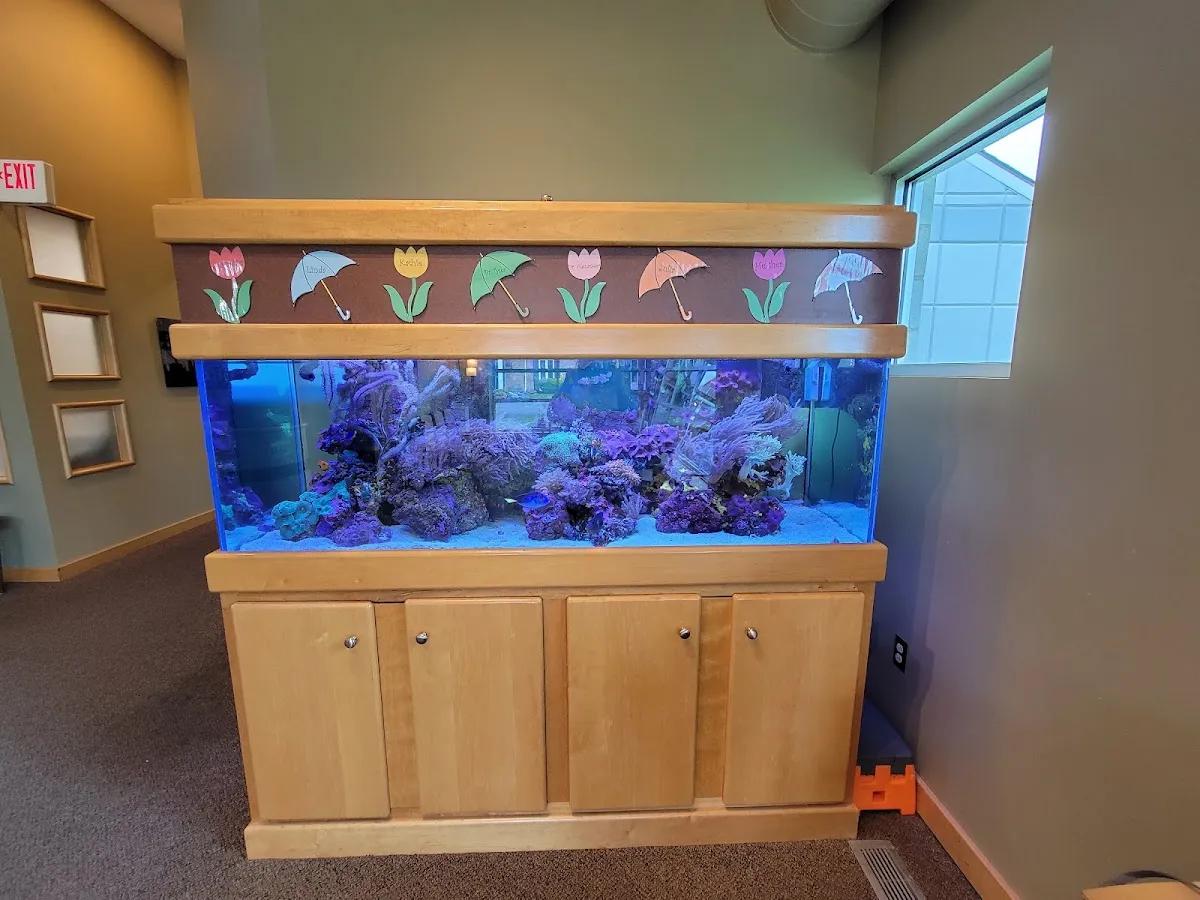Tyska Alexander Orthodontics - Photo 7