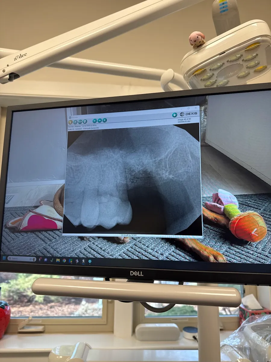 Falmouth Dental Arts - Photo 6