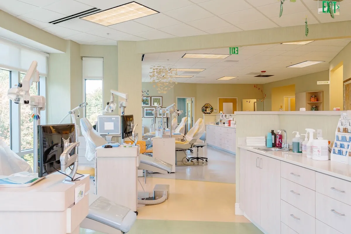 Clifton & Mauney Orthodontics & Pediatric Dentistry - Photo 2