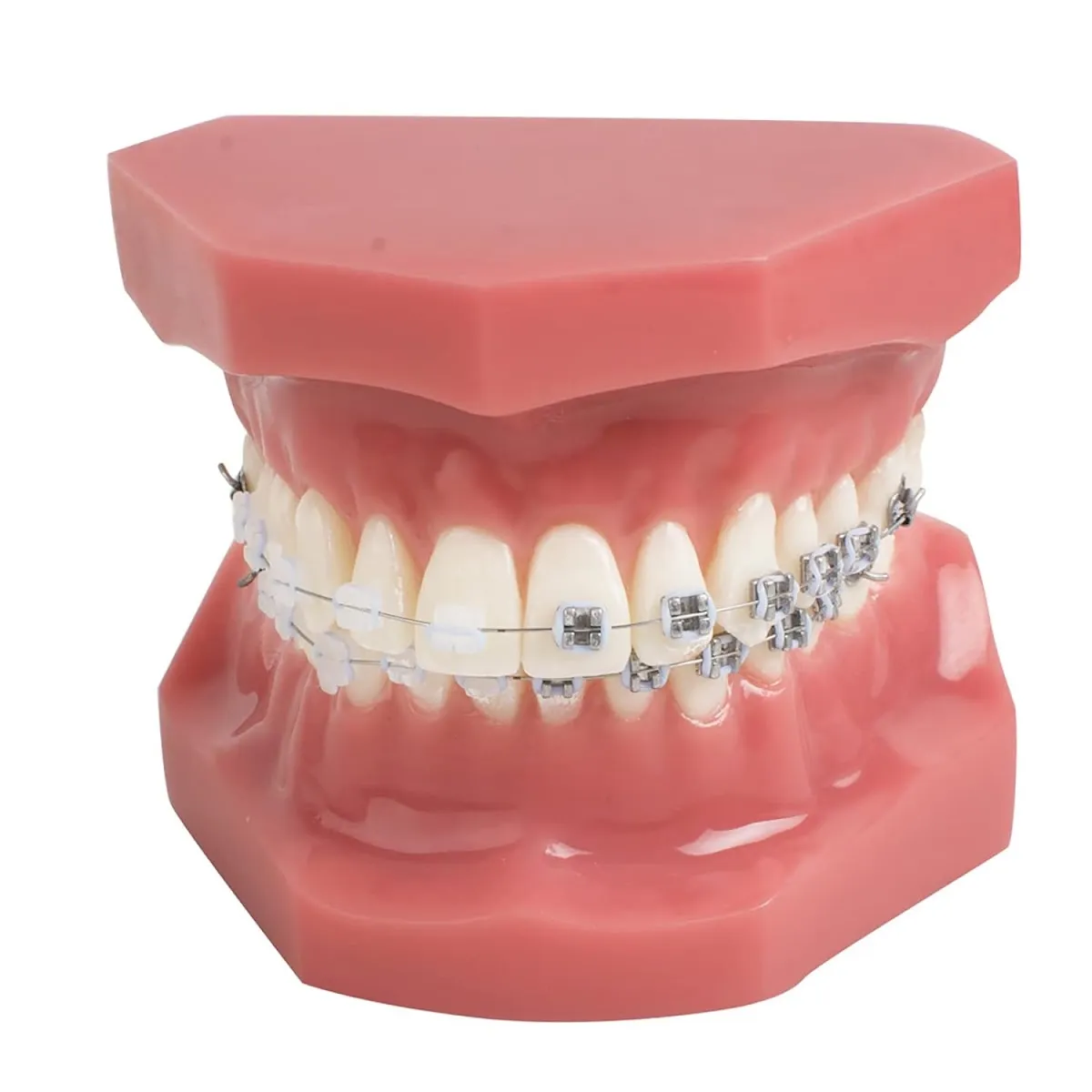 Altherr Orthodontics - Photo 6