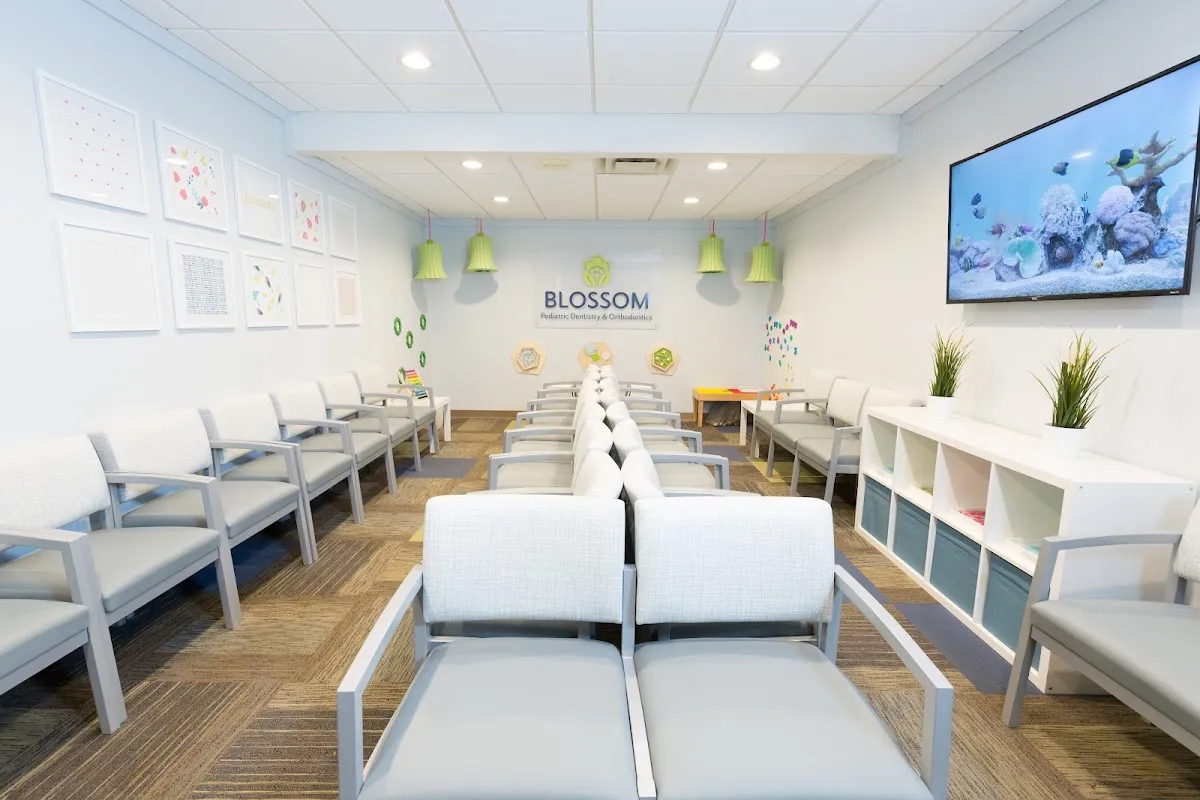 Blossom Pediatric Dentistry and Orthodontics - Orthodontist in Ann Arbor