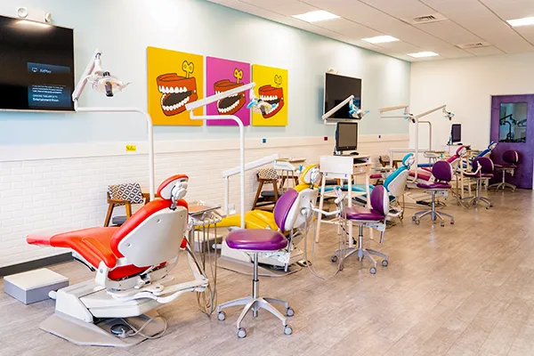 GRiN Pediatric Dentistry & Orthodontics of Lakewood - Photo 2