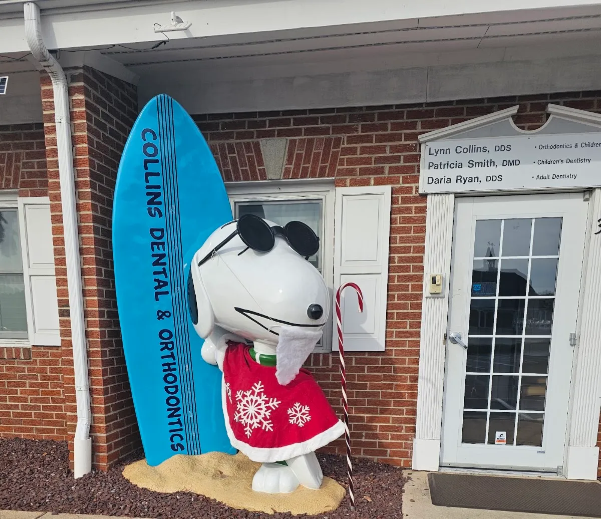 Collins Dental and Orthodontics - Photo 2
