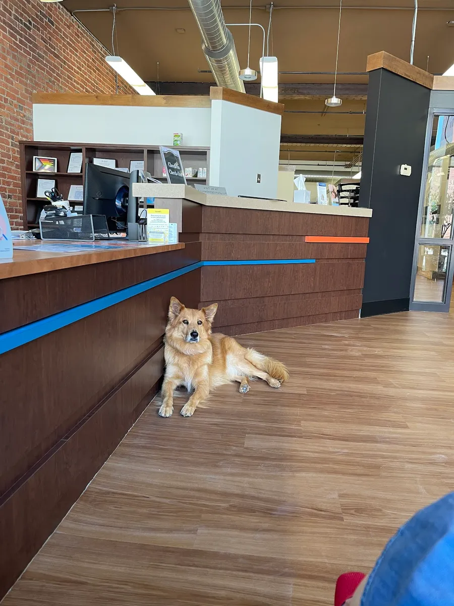 City View Dental - Orthodontist in Omaha