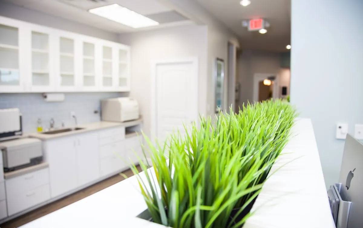 Gardner Springs Dentistry - Photo 5