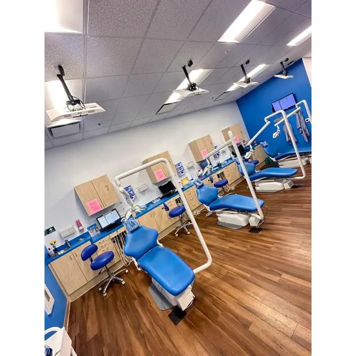 Western Dental & Orthodontics Kids