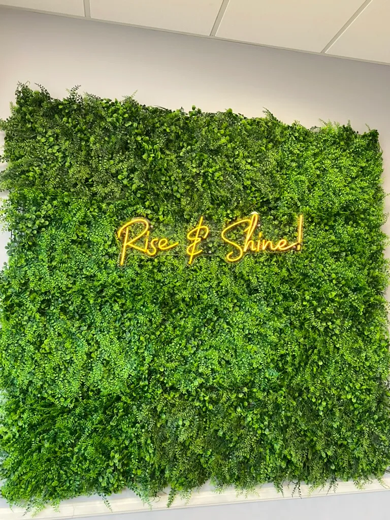 Rise Orthodontics - Orthodontist in Modesto