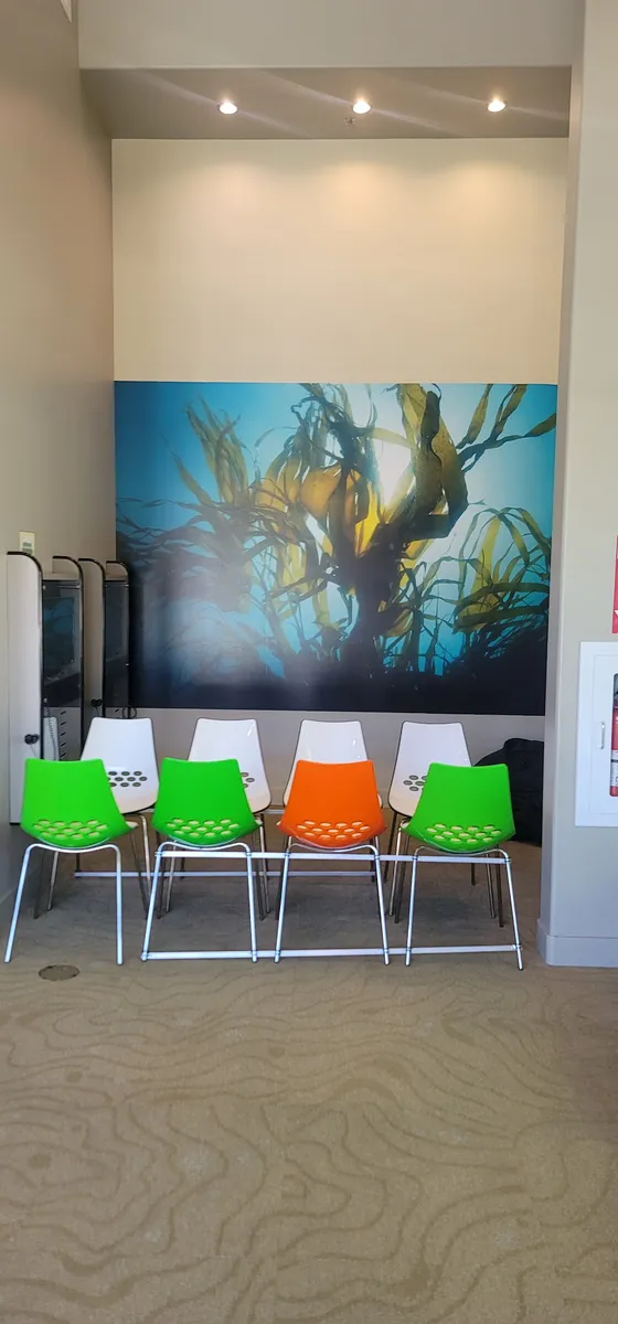 Sami Smiles Pediatric Dentistry & Orthodontics - Photo 6