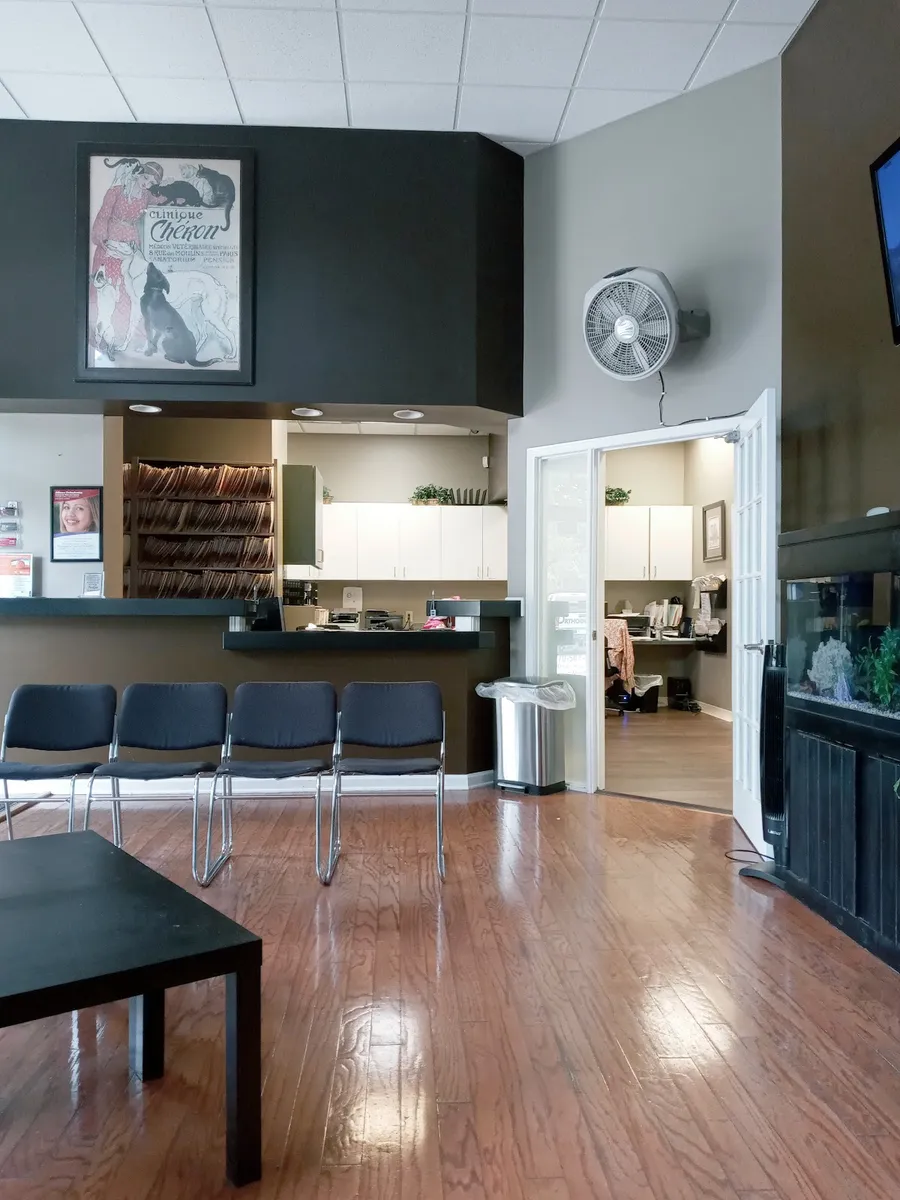 Alliance Orthodontics - Photo 3