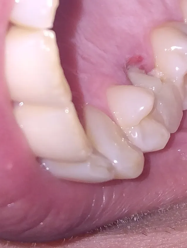 Aspire Family Dental - Photo 3