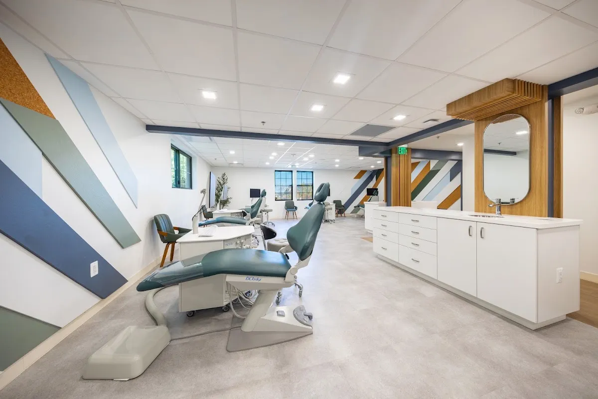Level Orthodontics - Photo 3