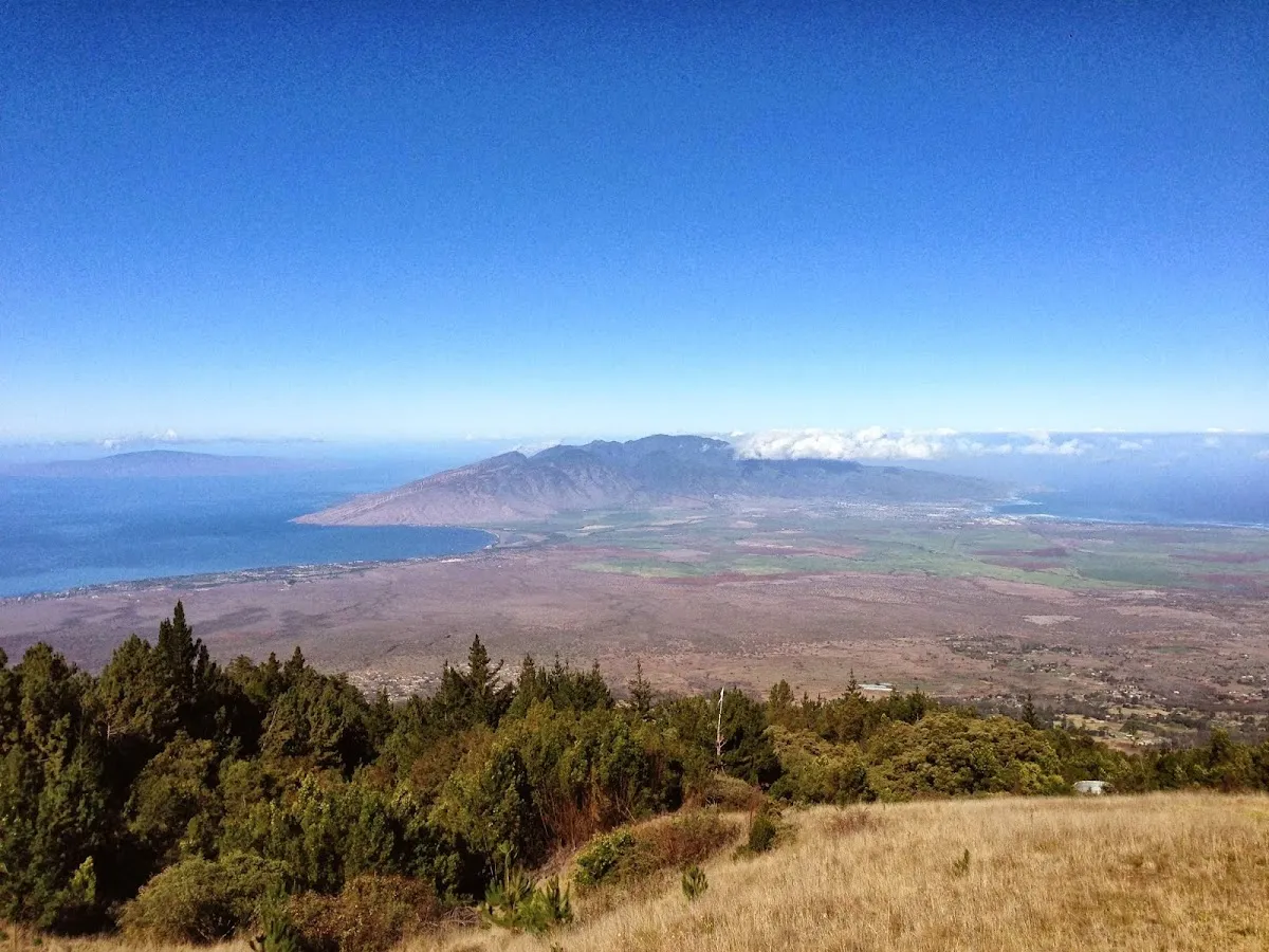 Pure Health Dentistry - Photo 1